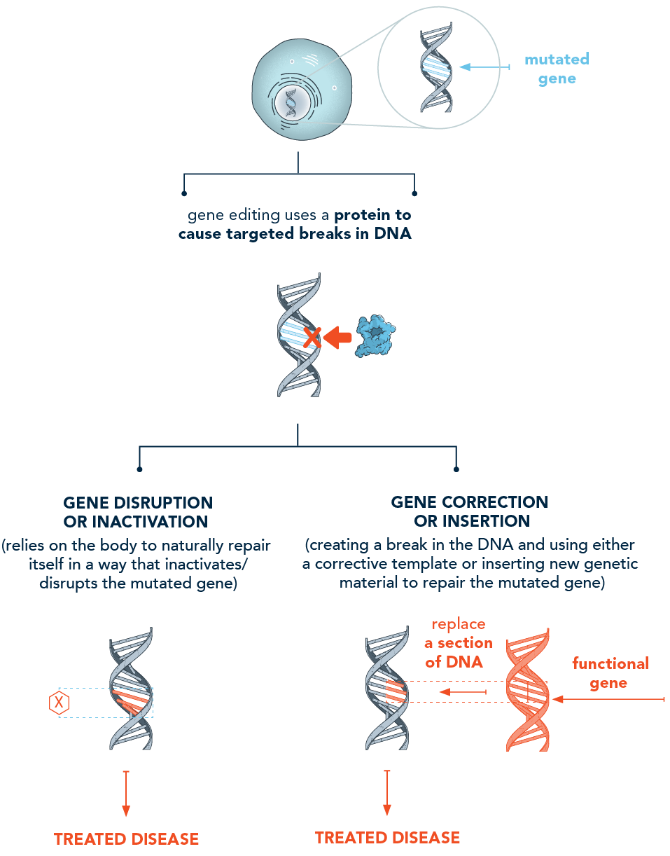 How Does Gene Therapy Work | Types Of Gene Therapy