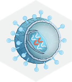 lentiviral vector in hexagon
